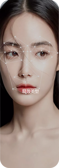 精致美型